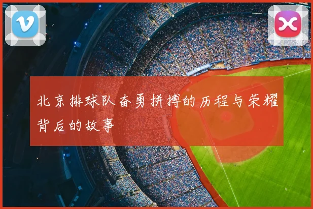 北京排球队奋勇拼搏的历程与荣耀背后的故事