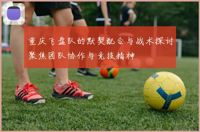 重庆飞盘队的默契配合与战术探讨聚焦团队协作与竞技精神