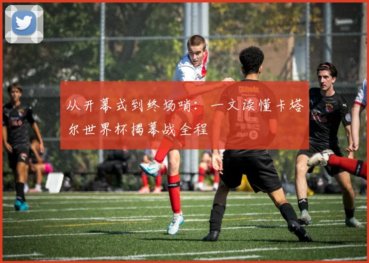 从开幕式到终场哨:一文读懂卡塔尔世界杯揭幕战全程