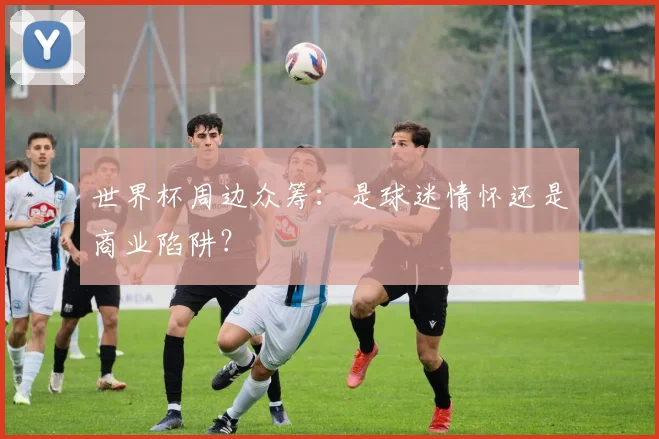 世界杯周边众筹:是球迷情怀还是商业陷阱?