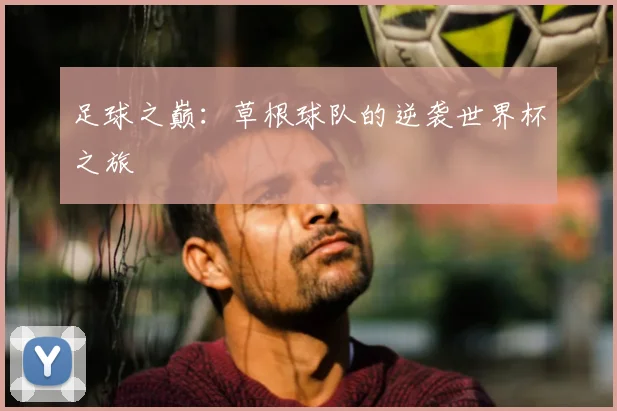 足球之巅:草根球队的逆袭世界杯之旅