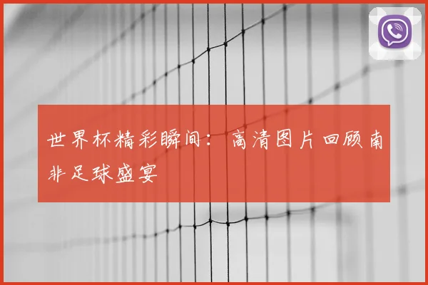 世界杯精彩瞬间:高清图片回顾南非足球盛宴