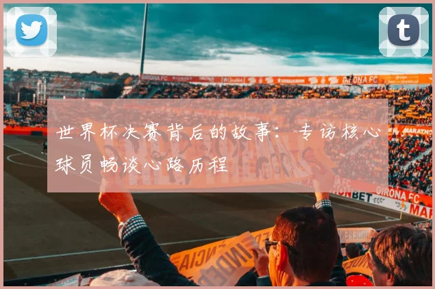 世界杯决赛背后的故事:专访核心球员畅谈心路历程