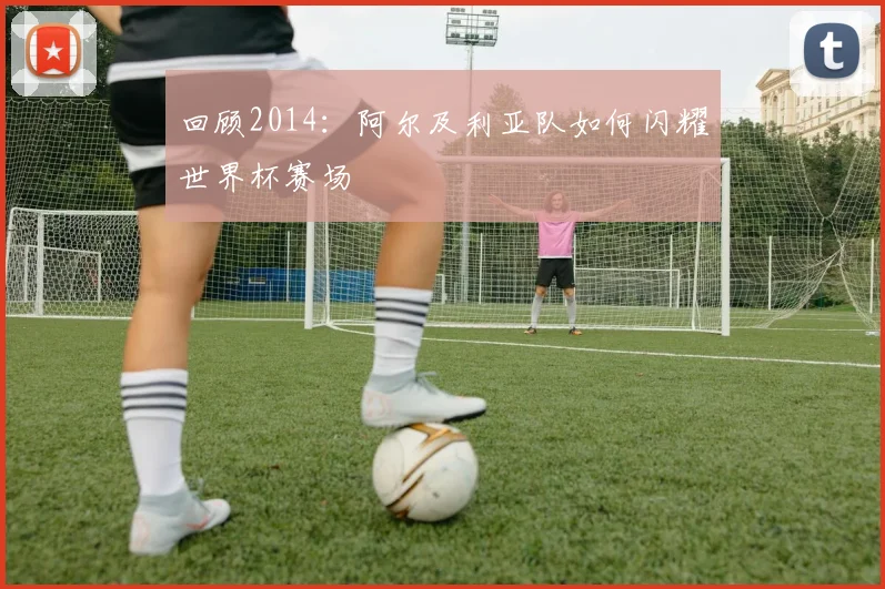 回顾2014:阿尔及利亚队如何闪耀世界杯赛场
