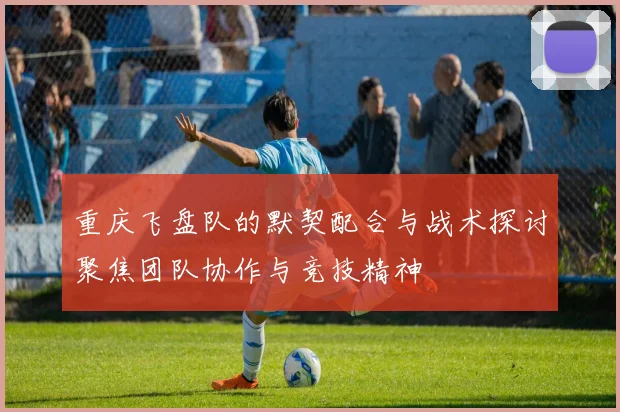 重庆飞盘队的默契配合与战术探讨聚焦团队协作与竞技精神