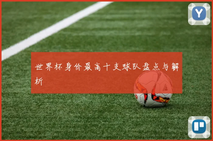 世界杯身价最高十支球队盘点与解析