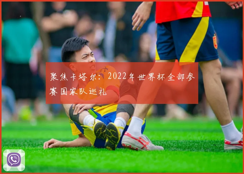聚焦卡塔尔:2022年世界杯全部参赛国家队巡礼